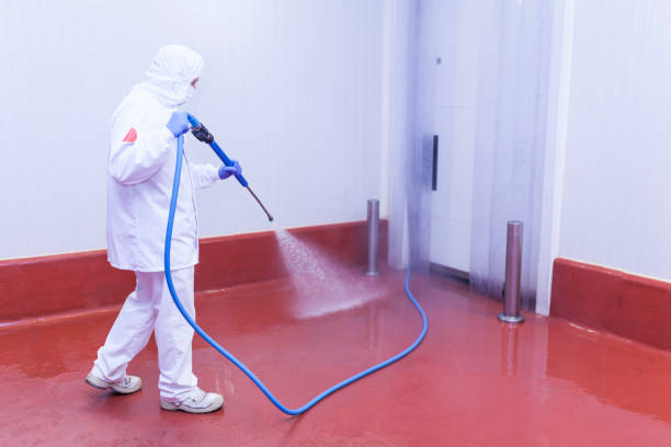 Best Patio and Deck Pressure Washing  in Orion, IL